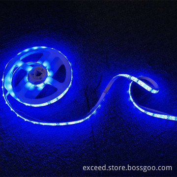 Double Intelligent Sensor LED Bed Light
